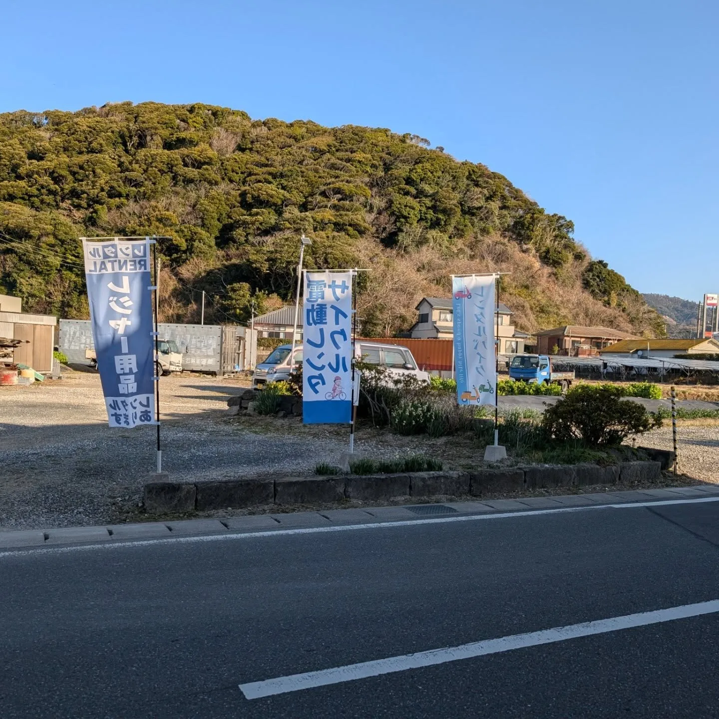 今日は穏やか、水仙が見頃ですよ。