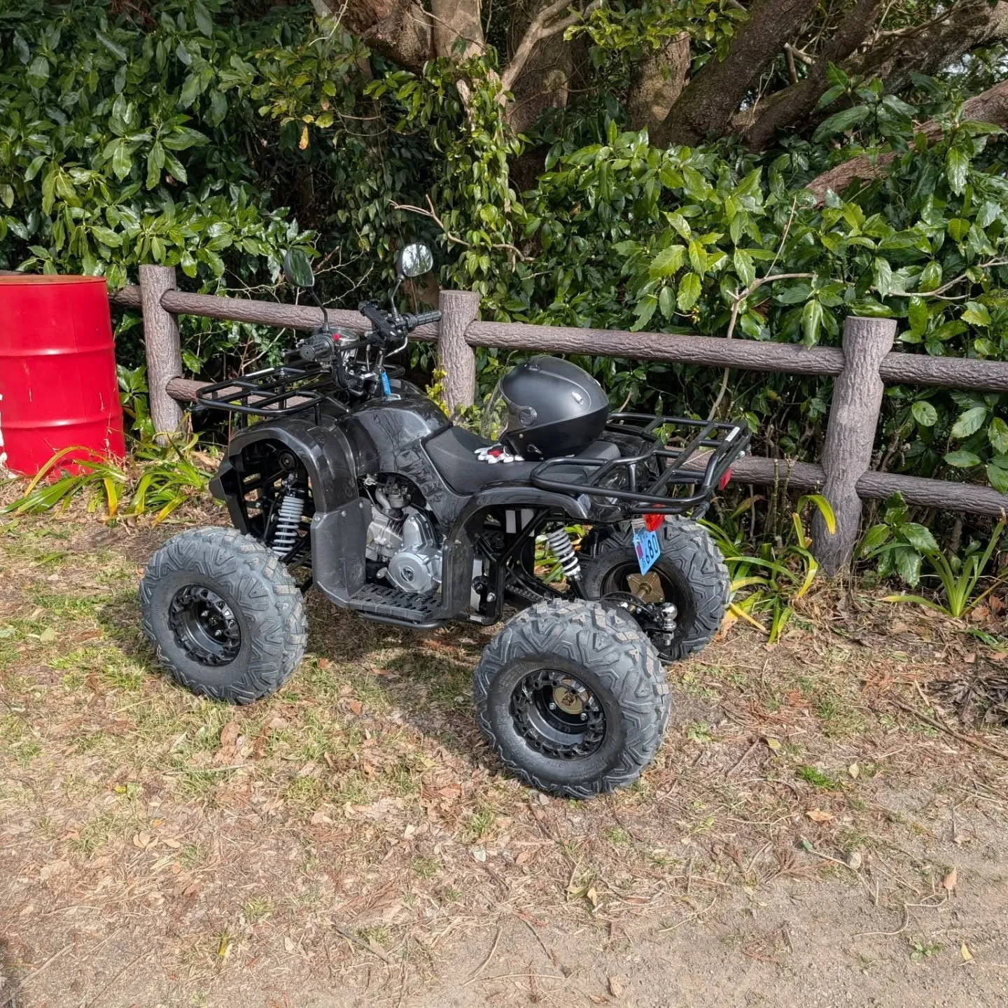 富山（とみさん）にバギーで👀