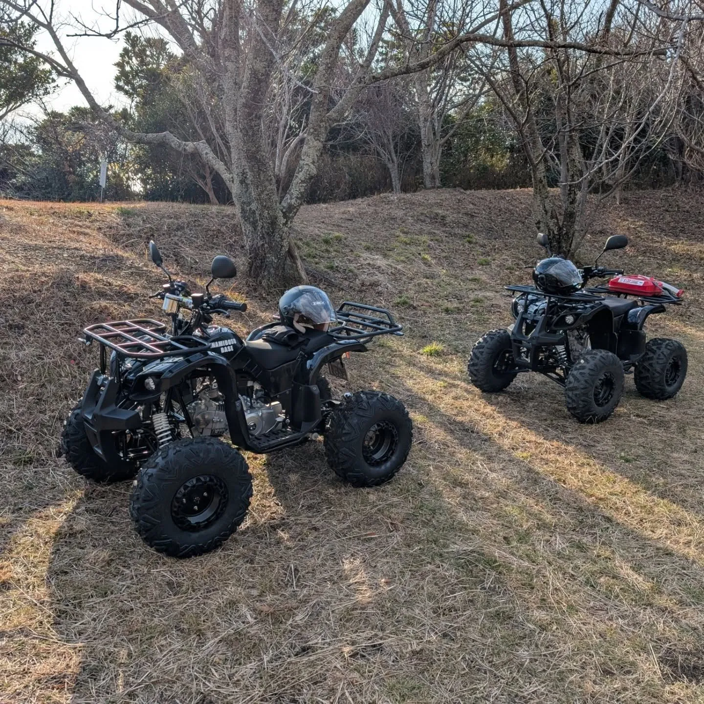 エンジンバギー2台目納入