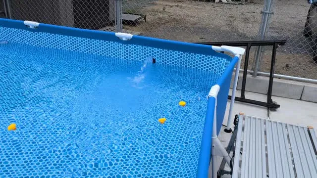 プ−ルいい感じ